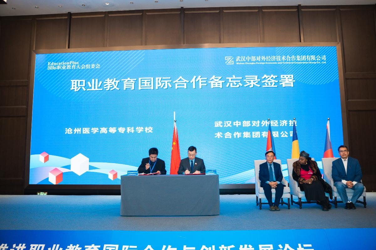 w66国际·利来(中国)最给力的老牌